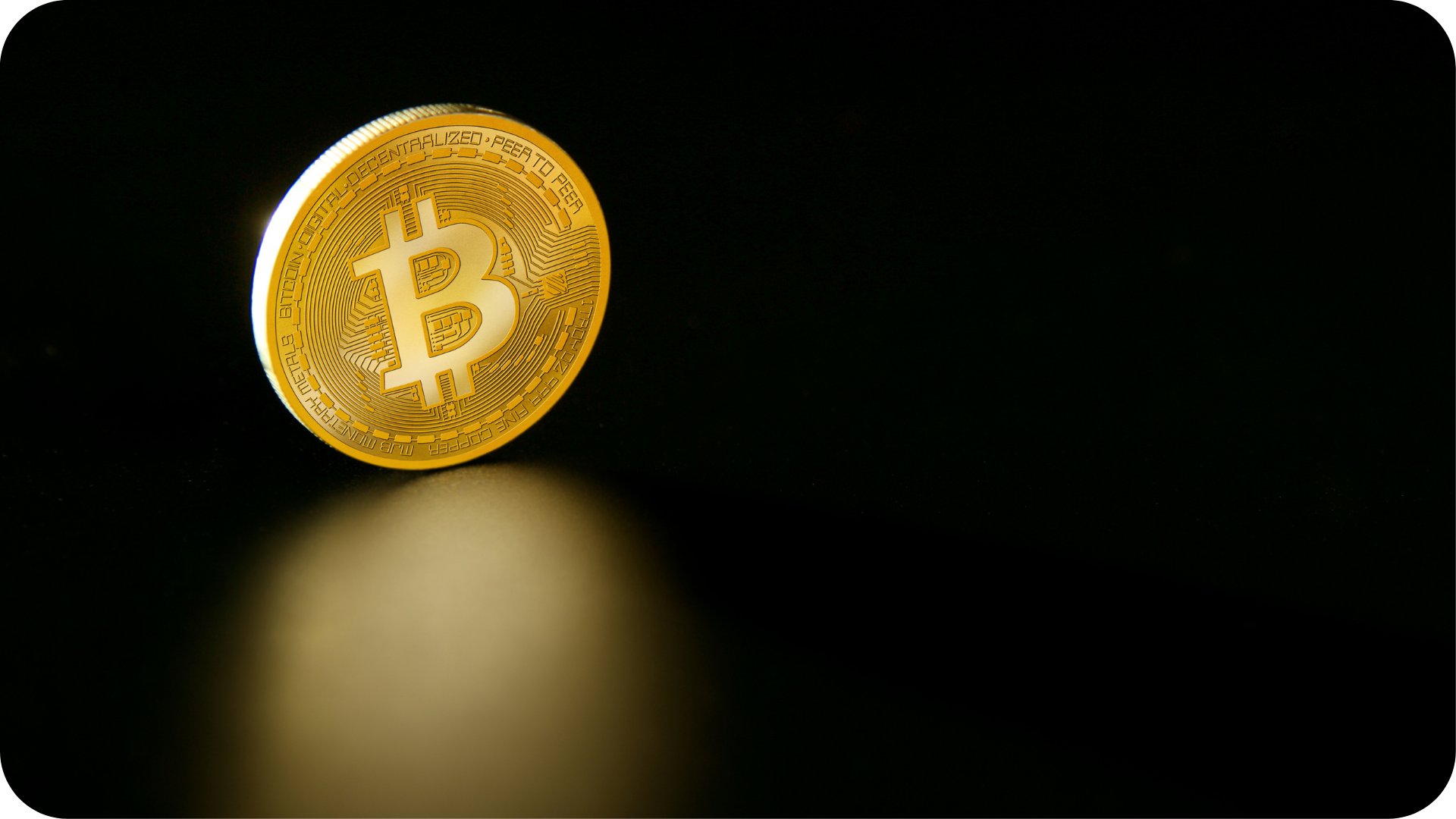 Bitcoin Cumhuriyeti Vatandaşlık Pasaportu